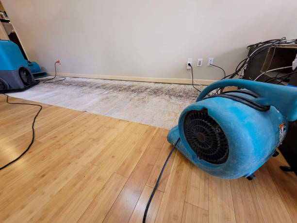 Professional Sewage Cleanup technician working in Gordon, PA